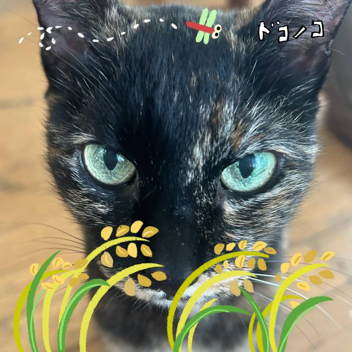 C8d3e10d d0ba 4a12 969a 34e302bf8256 1761980380467