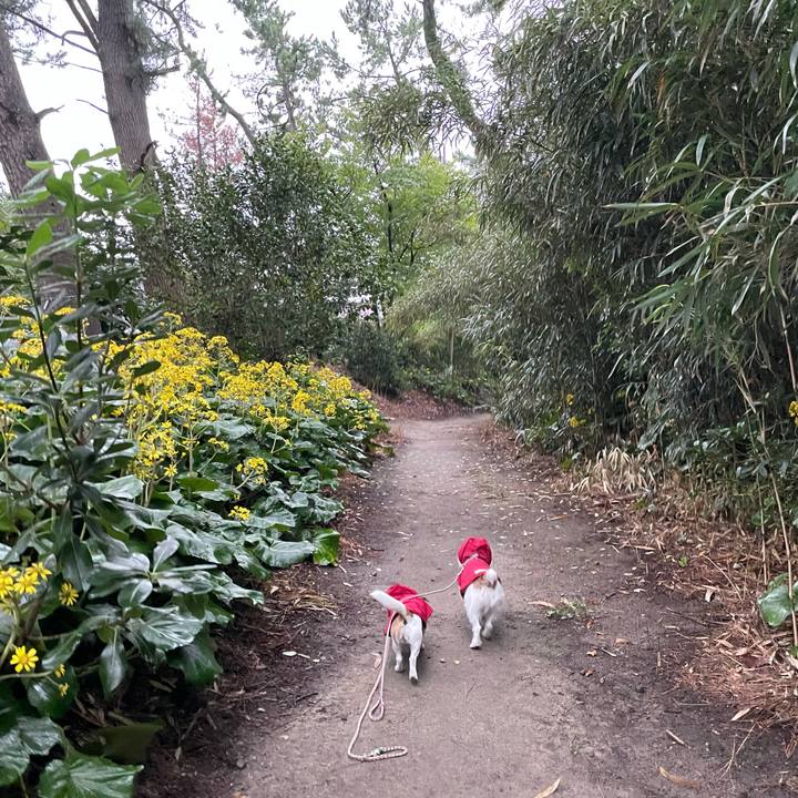 C8d3fa69 ad13 4754 bcd8 e3c2c3ff804e 1634342281561