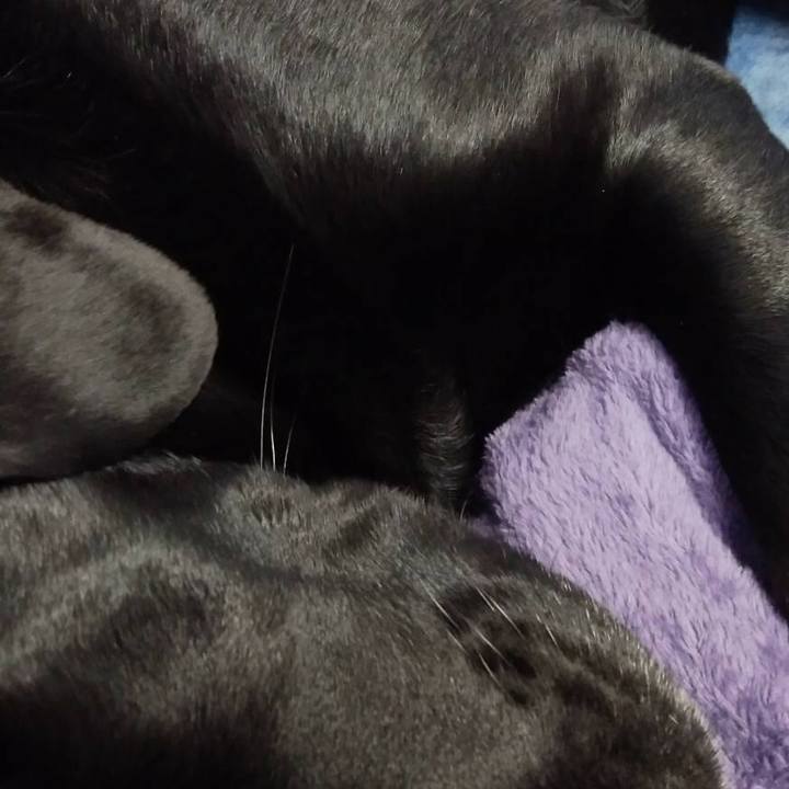 C8d4018d 2578 494d a9f0 a8dc063b6a0f 1612252189228