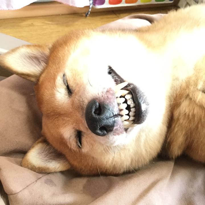 C8d4359e 0158 4db8 bd7c 3e66f714dfe3 1572072771660