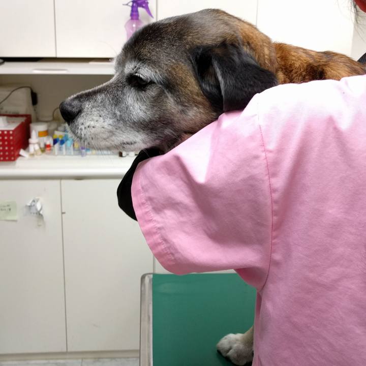 C8d45ac6 0bfa 4550 a1c8 9037665a25c2 1520589741562