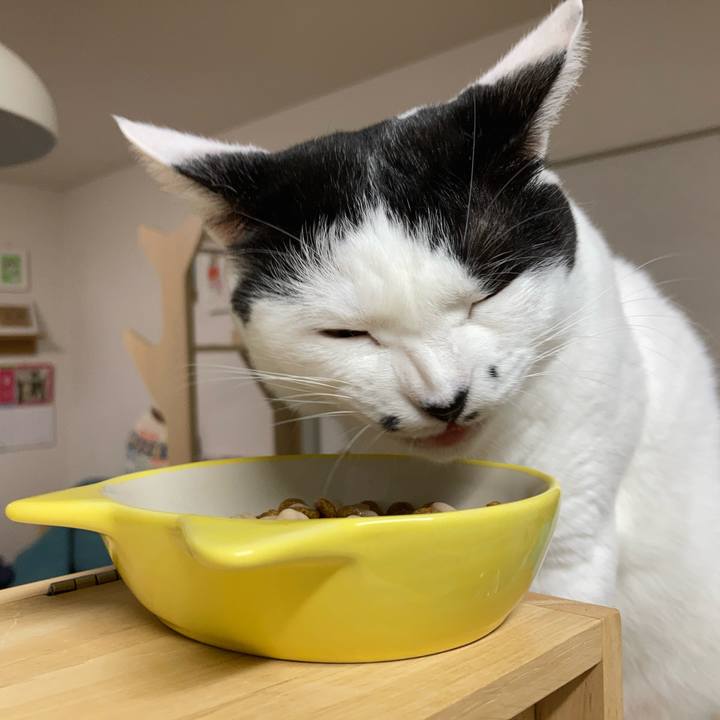 C8d495e1 56e3 4aa5 b89f 030e7b6d768f 1757797205160