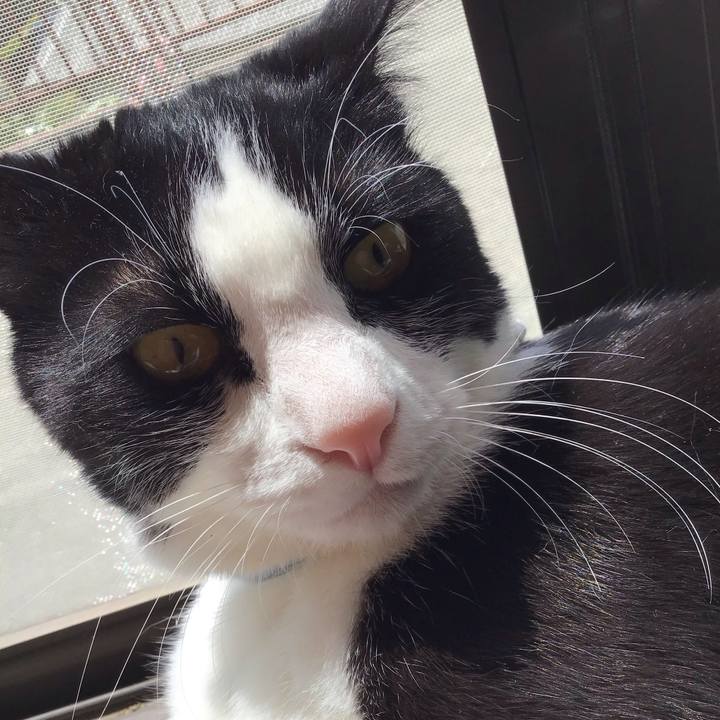 C8d4d85b 61ae 428c bedb 12f3d5dfd420 1682766262999