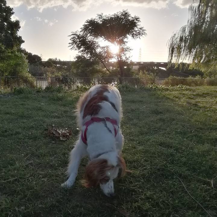 C8d50bff 91be 4786 8bea 5542019a6157 1602227461511