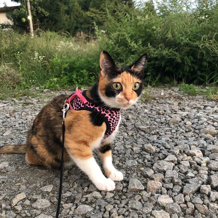 C8d50e4f 7e4a 4396 aa1a b59c1fef0c77 1537263220342