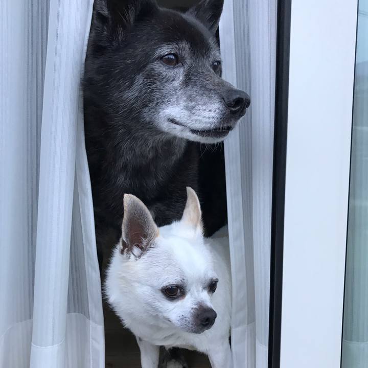 C8d51c55 5dbc 4ce2 9801 26273217274e 1633661671447