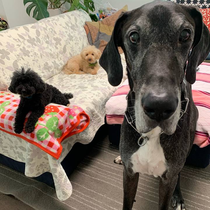 C8d57acc 3e98 4487 a15d cc080c119d6e 1594766315521