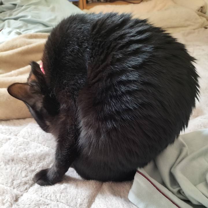 C8d5e29b e8e5 4229 86c5 a48edc3b6e55 1650151597107