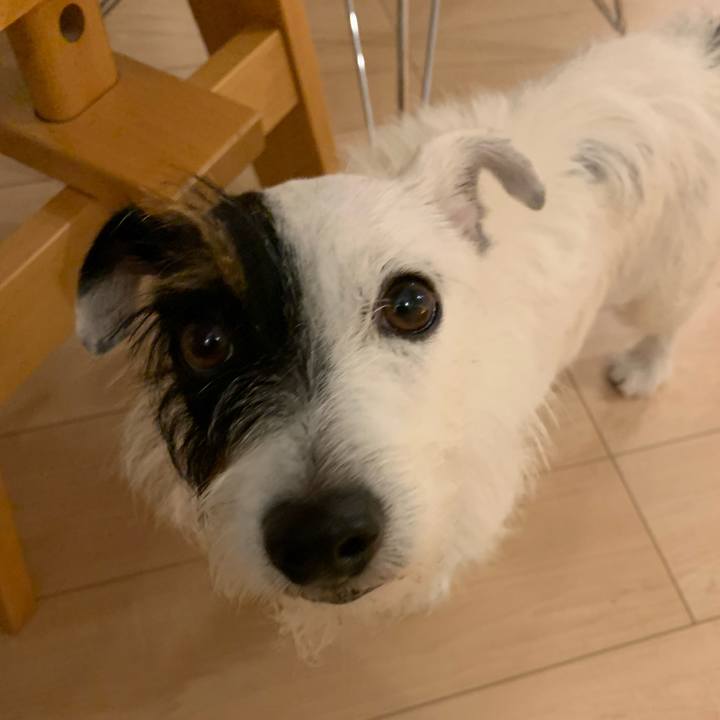 C8d5fd1f f871 44d7 95bb b9d8e98156ec 1569753562630