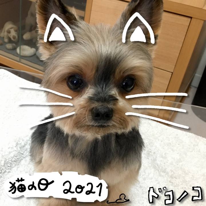 C8d6393a 0802 4a00 a01c 85d8d9bf19ff 1613966850259