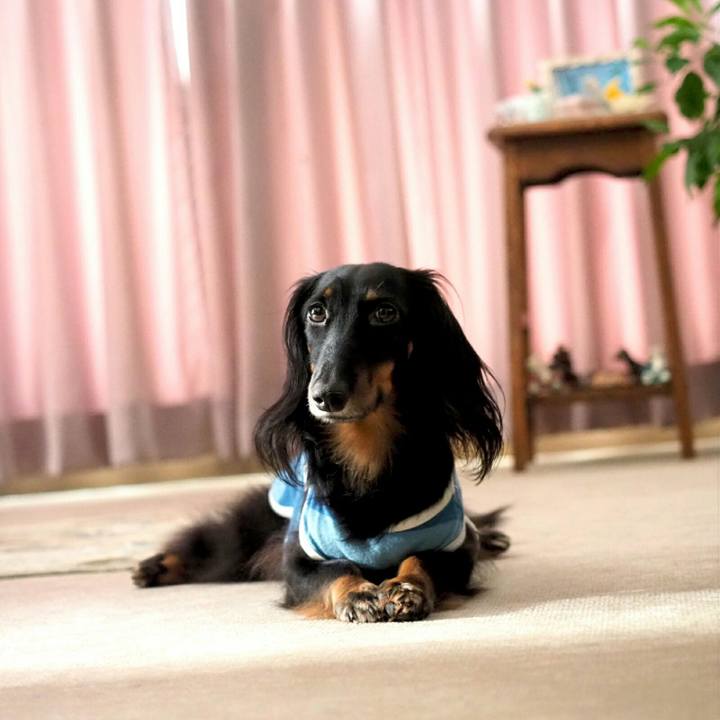 C8d64420 7210 4c2d 8f74 e47ae2162ae3 1535324325342