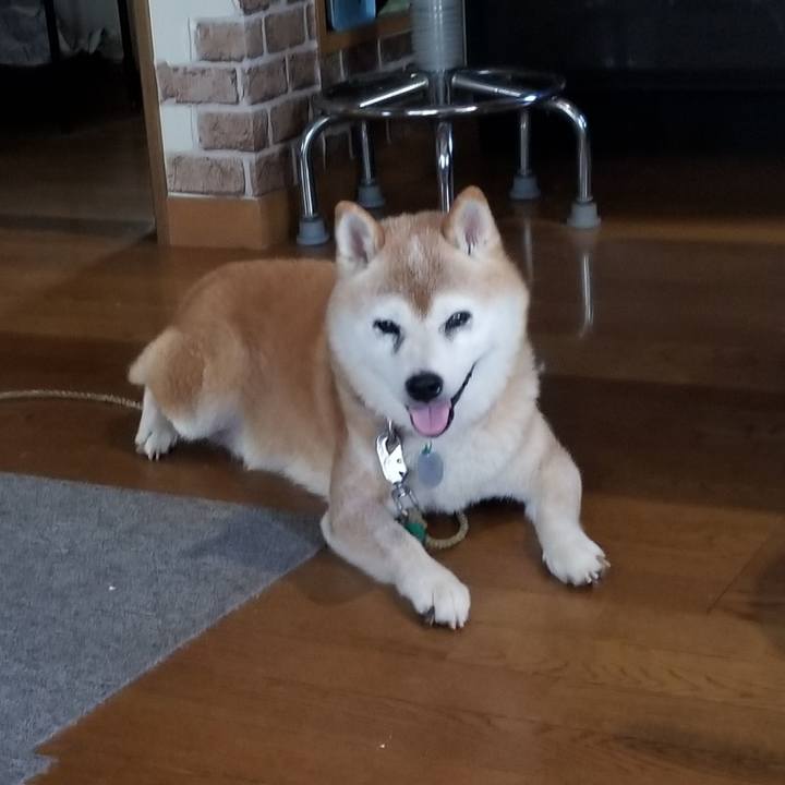 C8d6a840 84ed 4cb5 9cc7 8e790b09f0b3 1725091770753