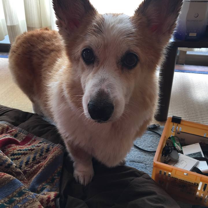 C8d6f2a2 4e4a 40e4 8886 5a28f857c85c 1525058669890