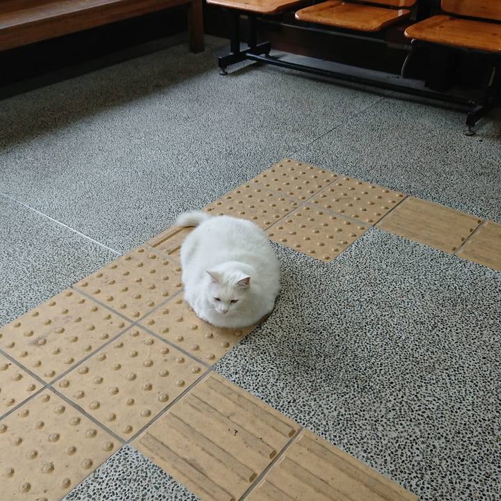 C8d711af 4431 4903 81ca 695b6f684bd2 1539124142660