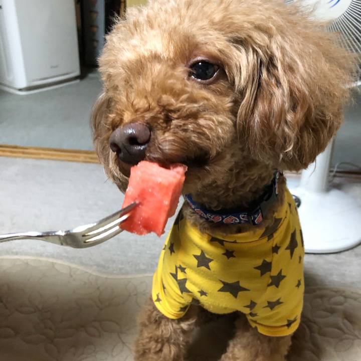 C8d74589 6fa5 4077 80b0 24db1cf8a4a1 1591848618035