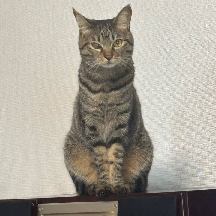 C8d7490f 459d 4a21 982e f1650905c097 1758499461450