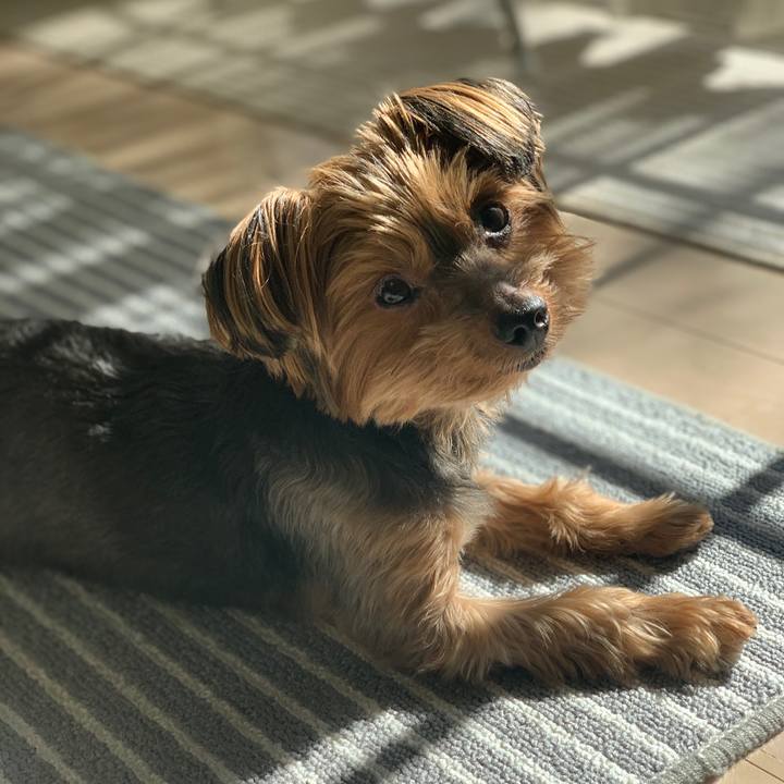 C8d776a2 974d 4593 a50a 97771ca5119d 1604454502227