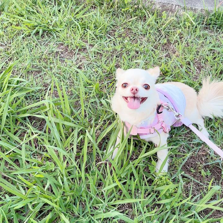 C8d78977 bdad 4e51 a08e f2cec0b8a355 1686997180780