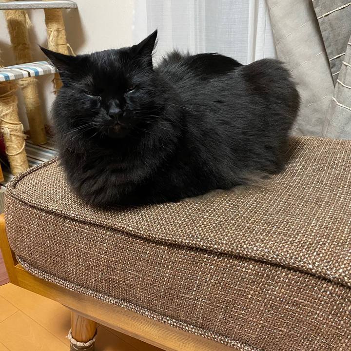 C8d7c3ac a585 4c47 83b5 2f0c59fa6d09 1623768246533