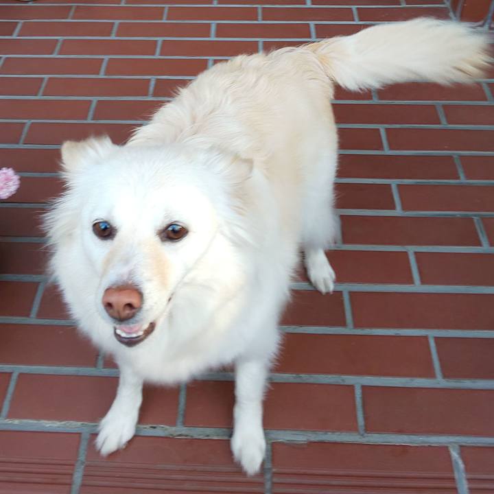 C8d7e59c 8823 454c 92ef e60ae0ff6ee3 1613288430657