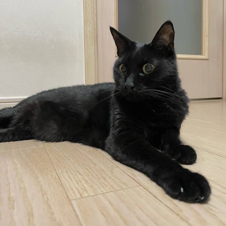 C8d7e7e8 069c 4ec4 b415 709d422cfe8e 1766234325139