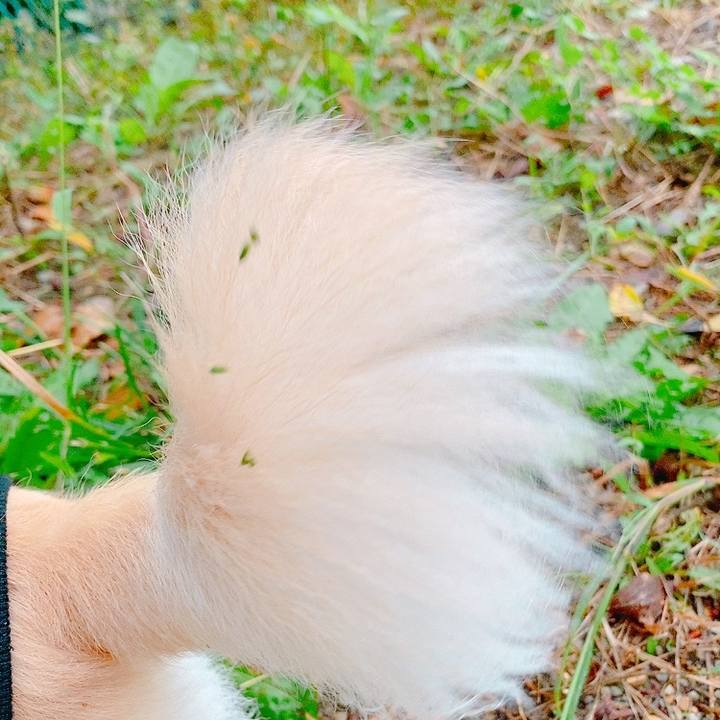 C8d8020c 4fec 4e26 9c95 0258bcb858a5 1634038478761