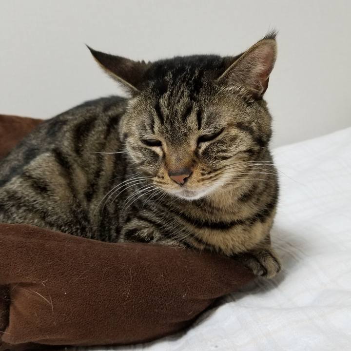 C8d8314b 7f61 46f7 b85c 9ca1870a7330 1611265066432