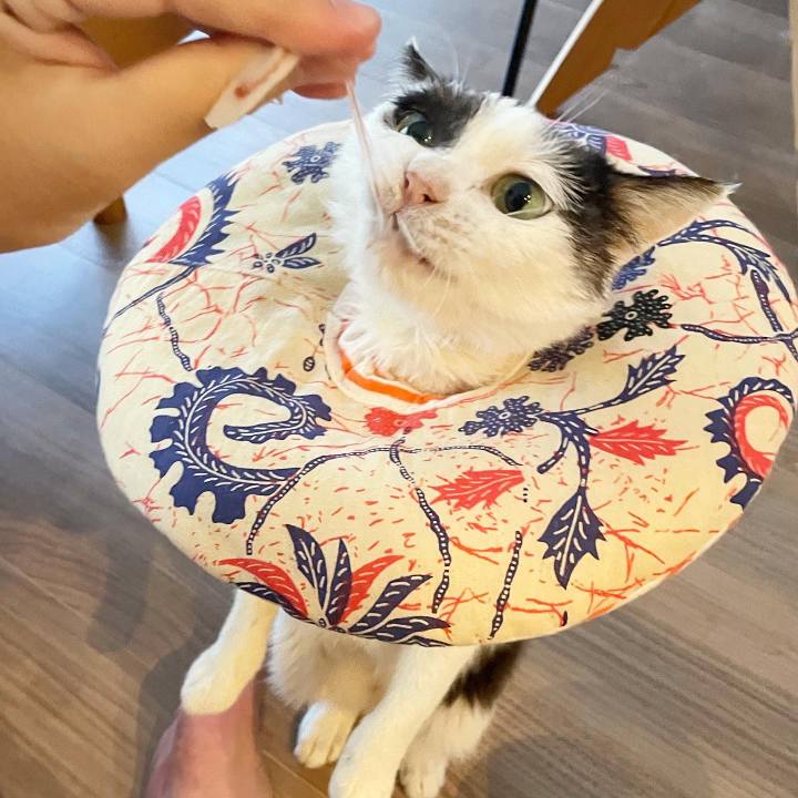 C8d831c6 5ae6 4a81 aa4c 018e229ad308 1685411861867