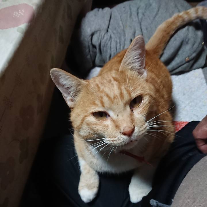 C8d84728 1c24 4d79 ab6b 195a7a28dfed 1573849759430