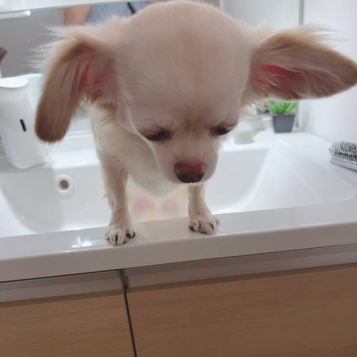 C8d856c9 993d 4a14 be88 92671e5ac050 1690198429889