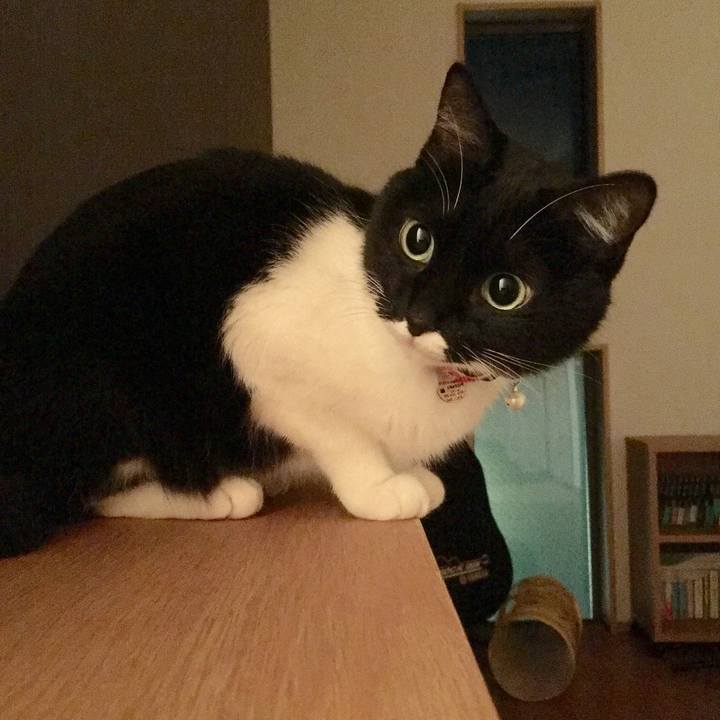 C8d85812 afaa 4a1e 869f ad5c679eb52b 1513126757917