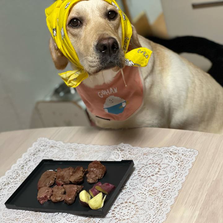 C8d8d419 7758 4531 8239 ffec4dbb1476 1665836838015