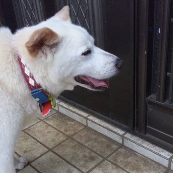 C8d97214 2287 4150 89d1 4a45e07048ed 1512665366010