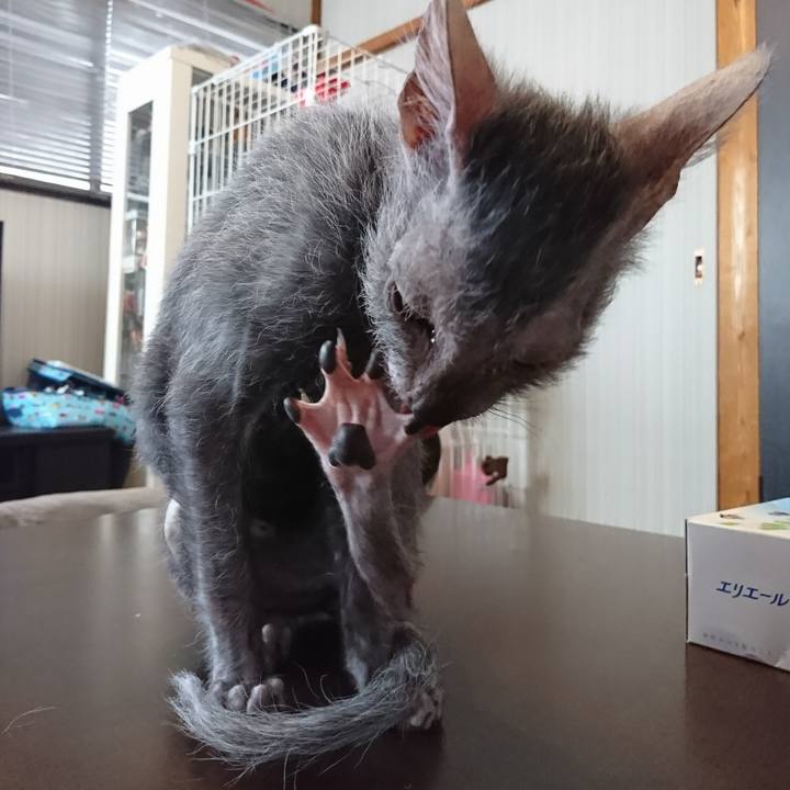 C8d99e9b 39b6 4ed9 8093 de7c540e7717 1516845872732