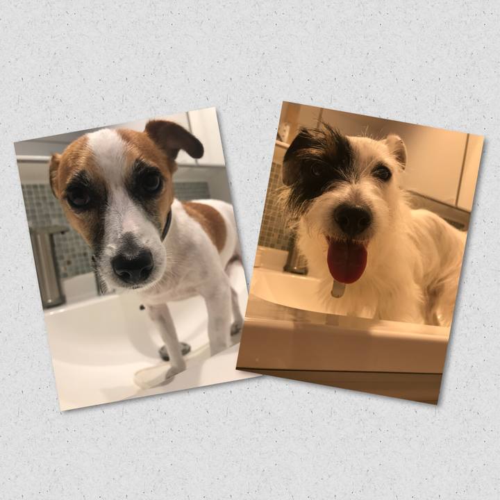 C8d9cabf 2f01 41d4 9eca a3203fa3b314 1535963855425