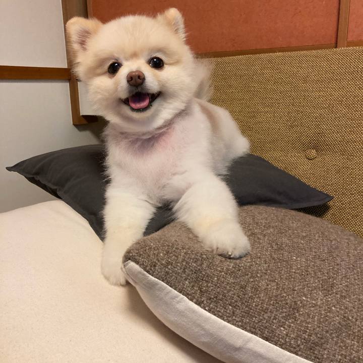 C8d9fddb f0fa 4959 a86d c26298b5fb9c 1659350458672