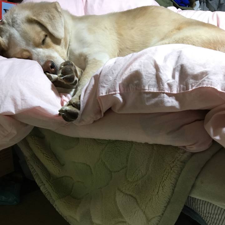 C8da083a fc6d 419c 977b 2a7a710282dd 1515327607594