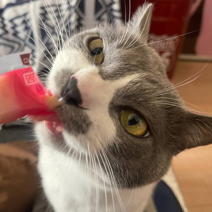 C8da1c41 339c 4f5d 8f1e a145b179a5b7 1670568016403