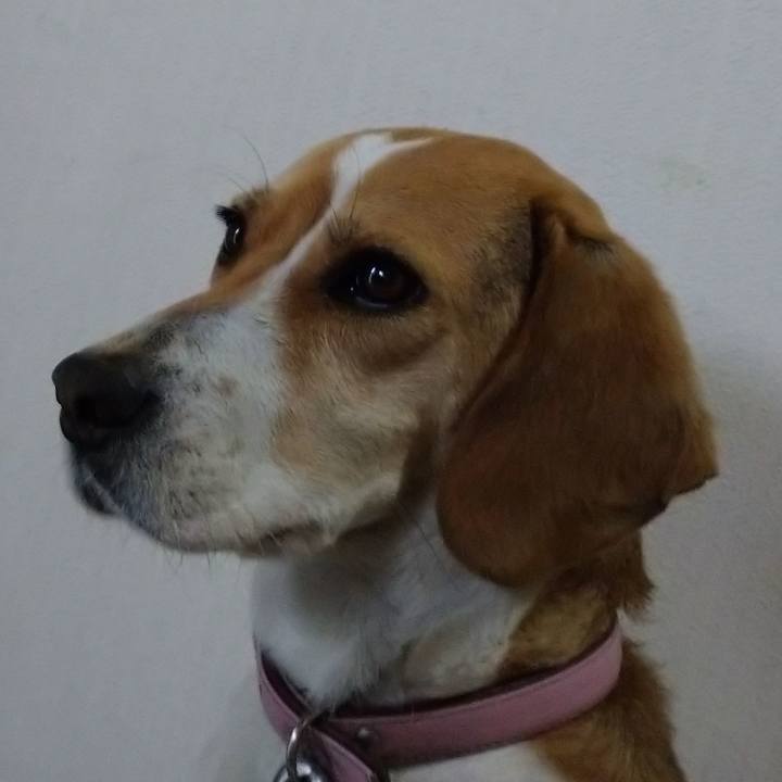 C8da23c9 18a8 42e7 b1e4 bafb6b845728 1585711611178