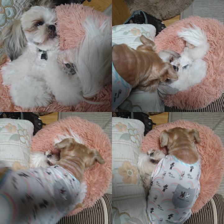 C8da2fd9 3ed0 4cb6 8d4b 4c0425c64281 1619961729874