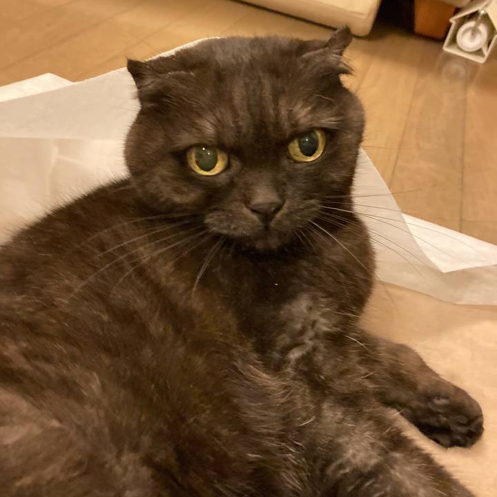 C8da4067 a742 46d8 aa79 5021271a43b7 1607620345233