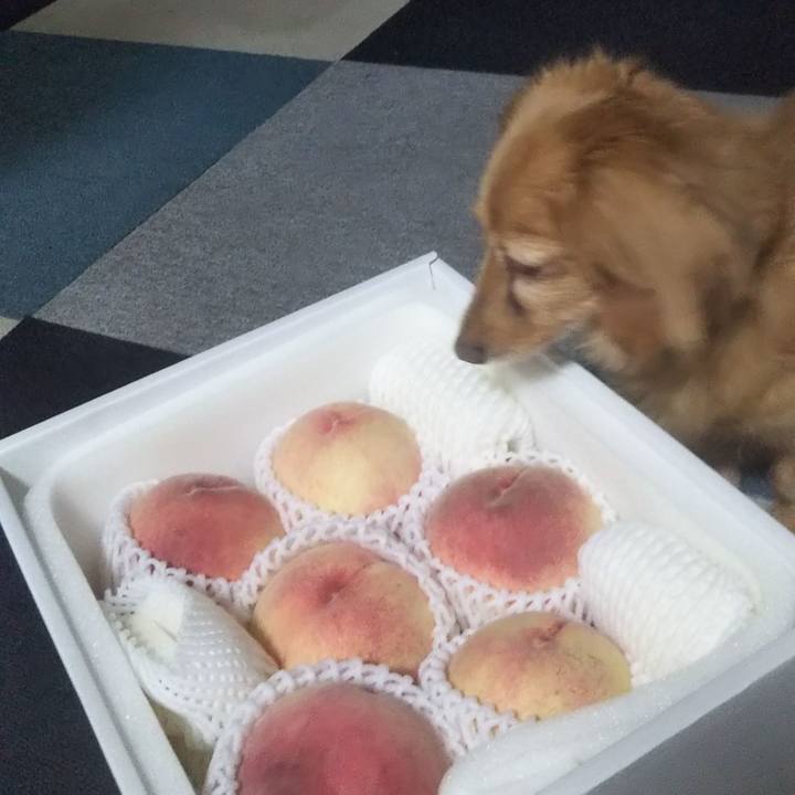 C8da4e4a 7dda 4e56 bd82 f383d59d3627 1628587852281