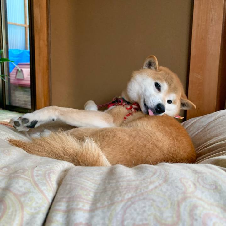 C8da4e5b e3eb 4987 9786 a9ff32e13756 1620903670285