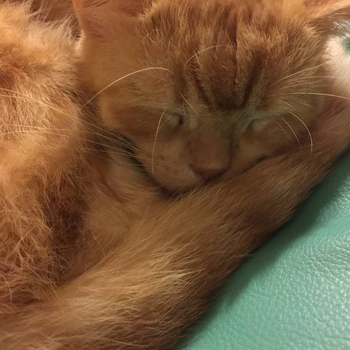 C8da746f 186d 41f6 9dde 652e6541d1c3 1571364025087