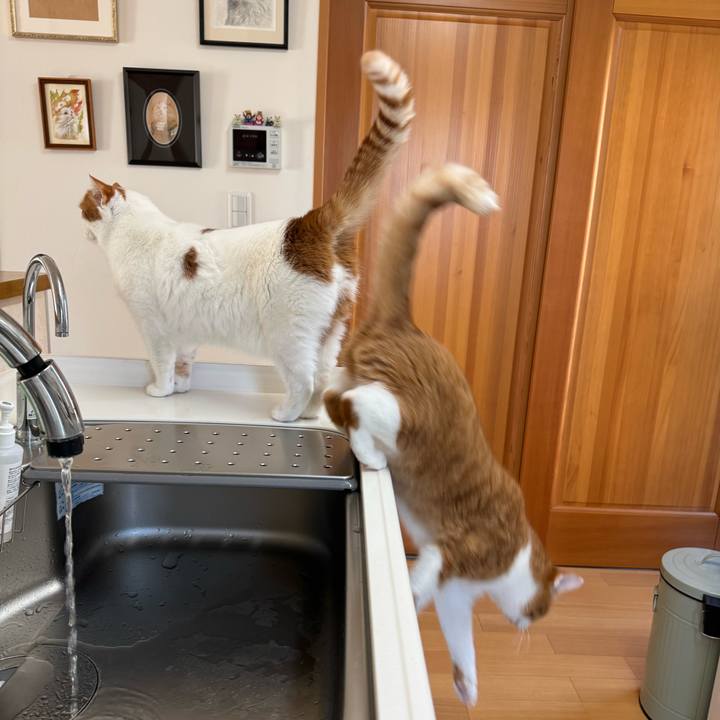 C8da8254 da65 4c82 996d fff53341c867 1768529913299