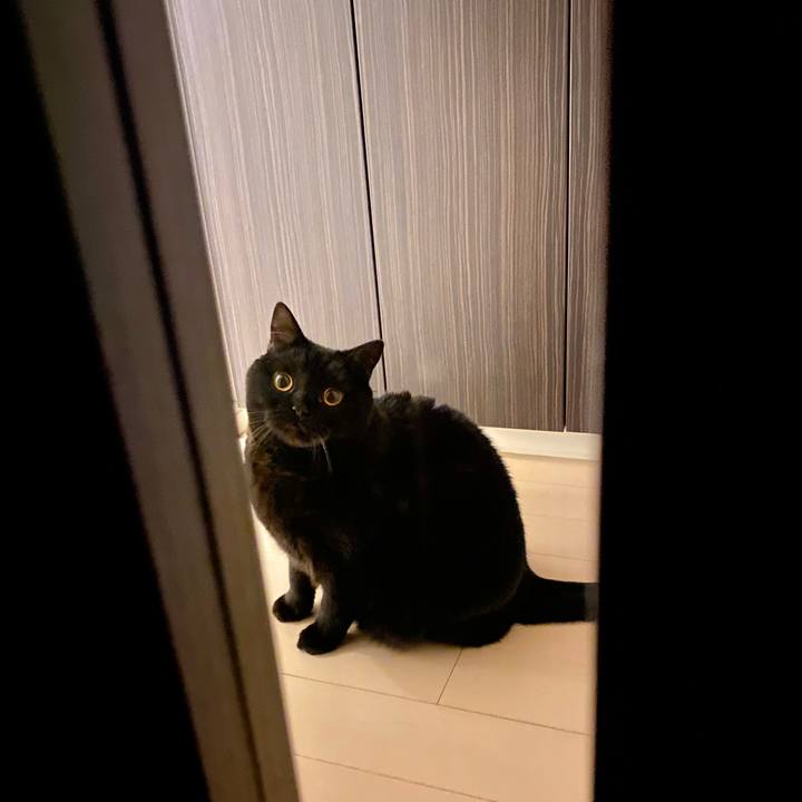 C8da8ded 8158 4821 b269 c7b183350dbf 1672751850074