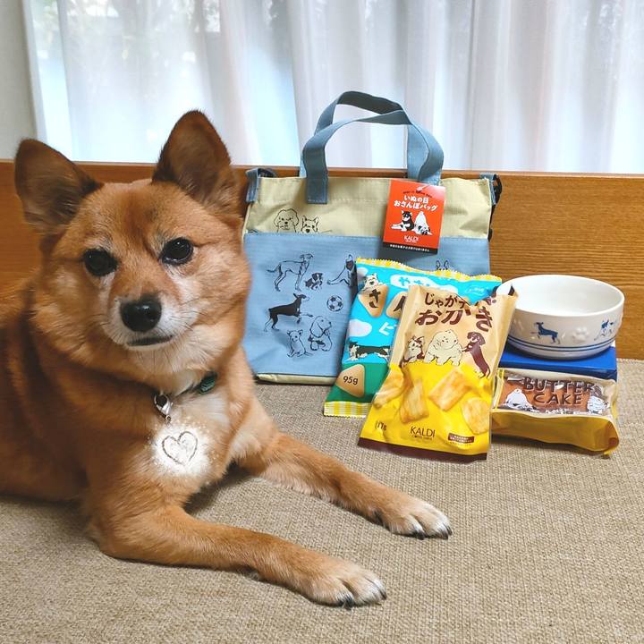 C8daac12 5db4 4773 a221 467c73d39de6 1637995932801