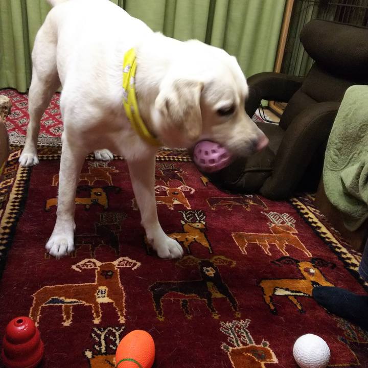 C8dabc6e 36c9 4a42 a7fc d307785896b7 1521546163573