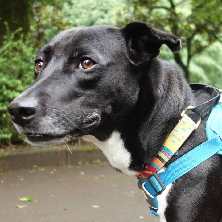 C8daf6cf 12ce 496c 9a3c 9f1cf7a00745 1621469156386