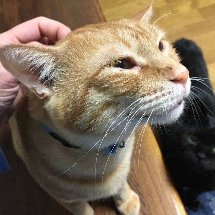 C8db49e5 4f6b 4251 a8a6 77f78431cfc5 1532244106674